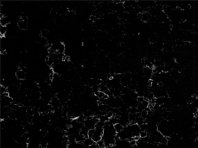 SPA BLACK Tezgah Fiyatı 7.000 TL
